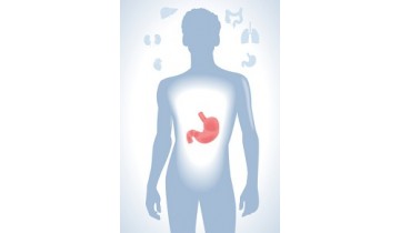 Is a “Leaky Gut” Making you Sick?